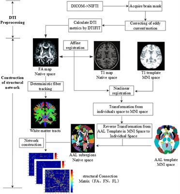 White Matter Structural Brain Connectivity of Young Healthy Individuals With High Trait Anxiety